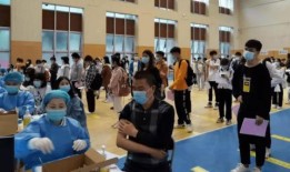 新疆新瓜子最新爆料消息,揭秘行业新动态与市场新趋势